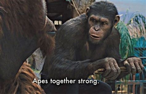 Apes together strong