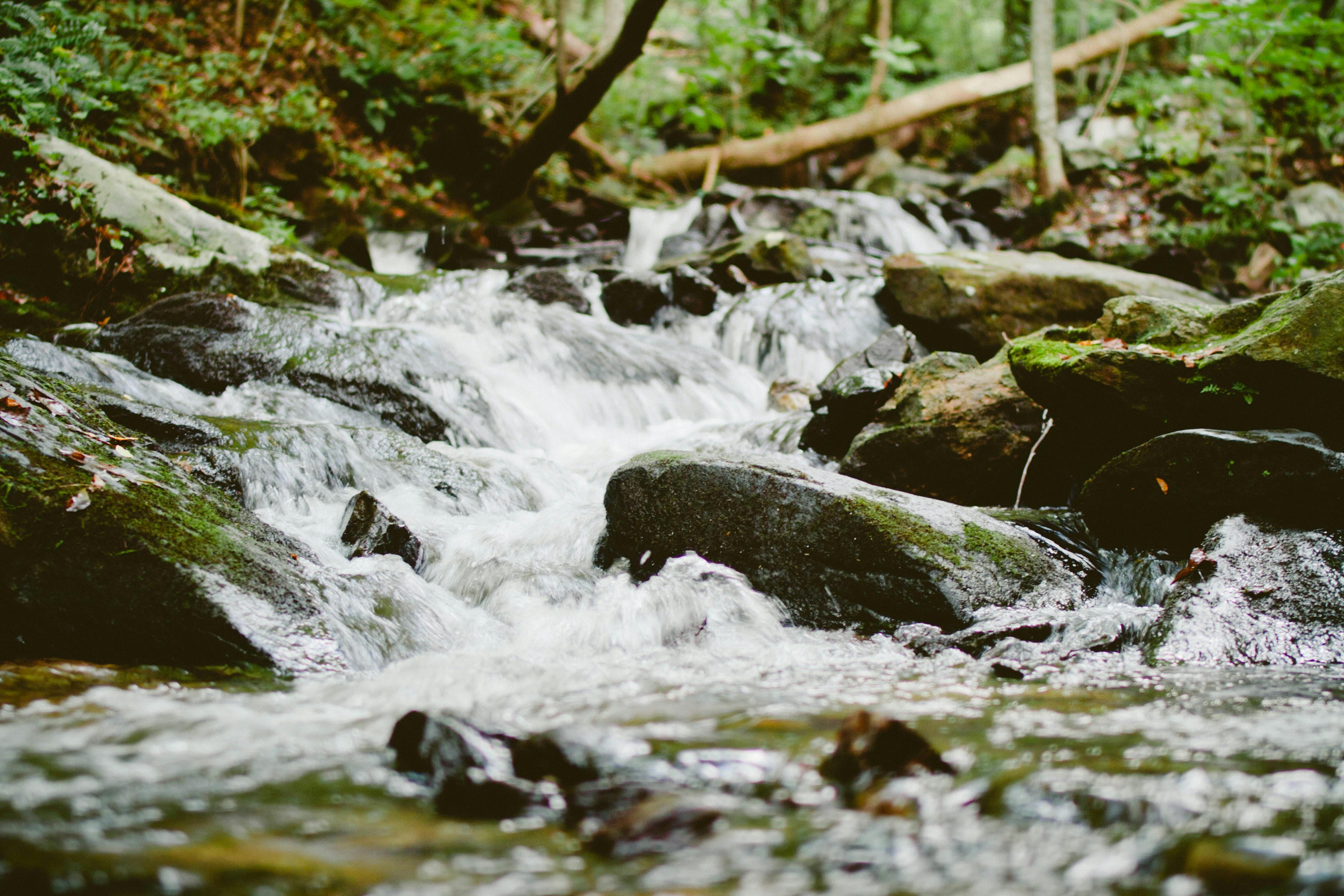 a picture of a stream